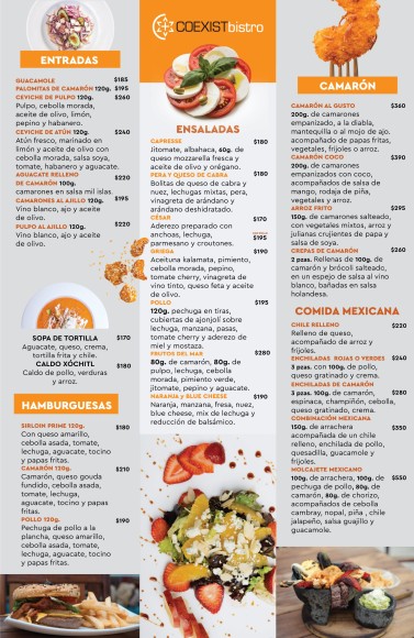 Menu Para Comida en Vallarta Hotel Rio Malecon Vallarta